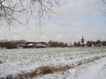 Winter in Zevergem - Warandedreef